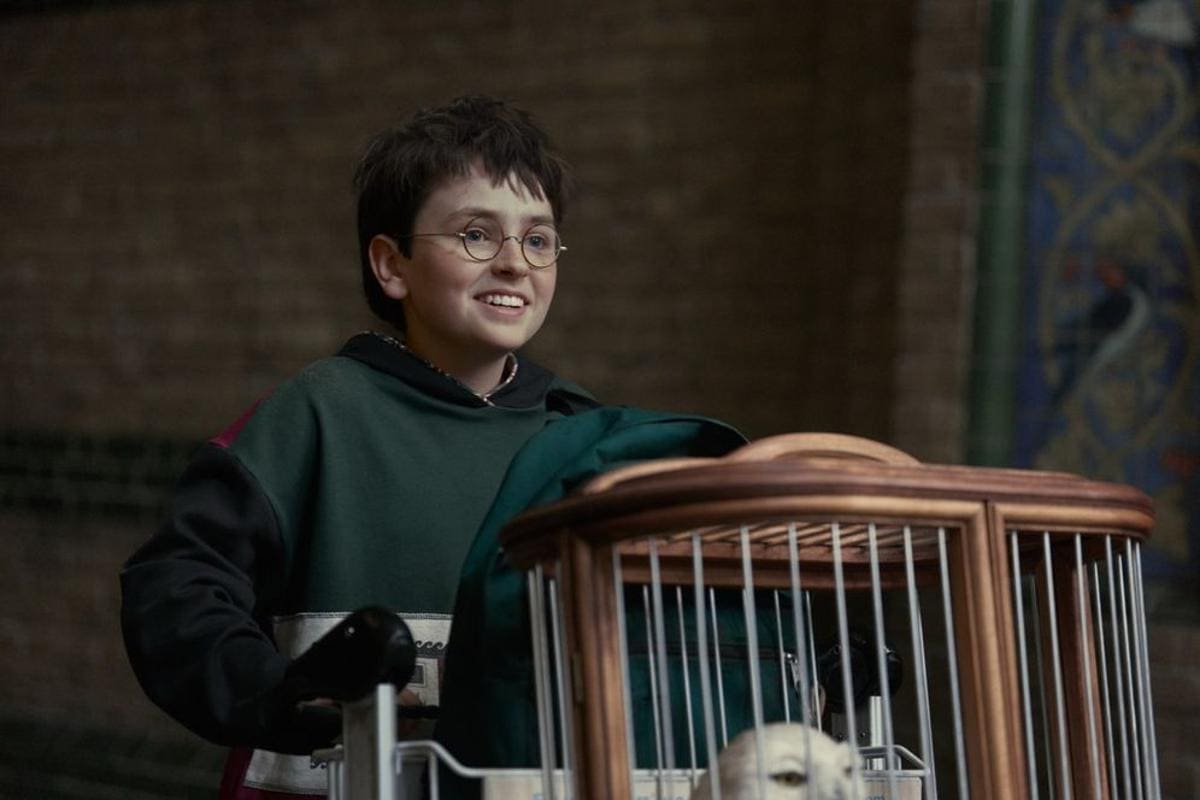 potter serie