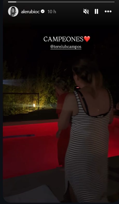 Rosalía con una vuvuzela en la cama, Terelu de cabeza a la piscina e Ibai copiándola