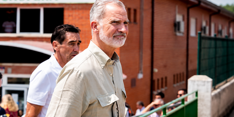 rey felipe vi